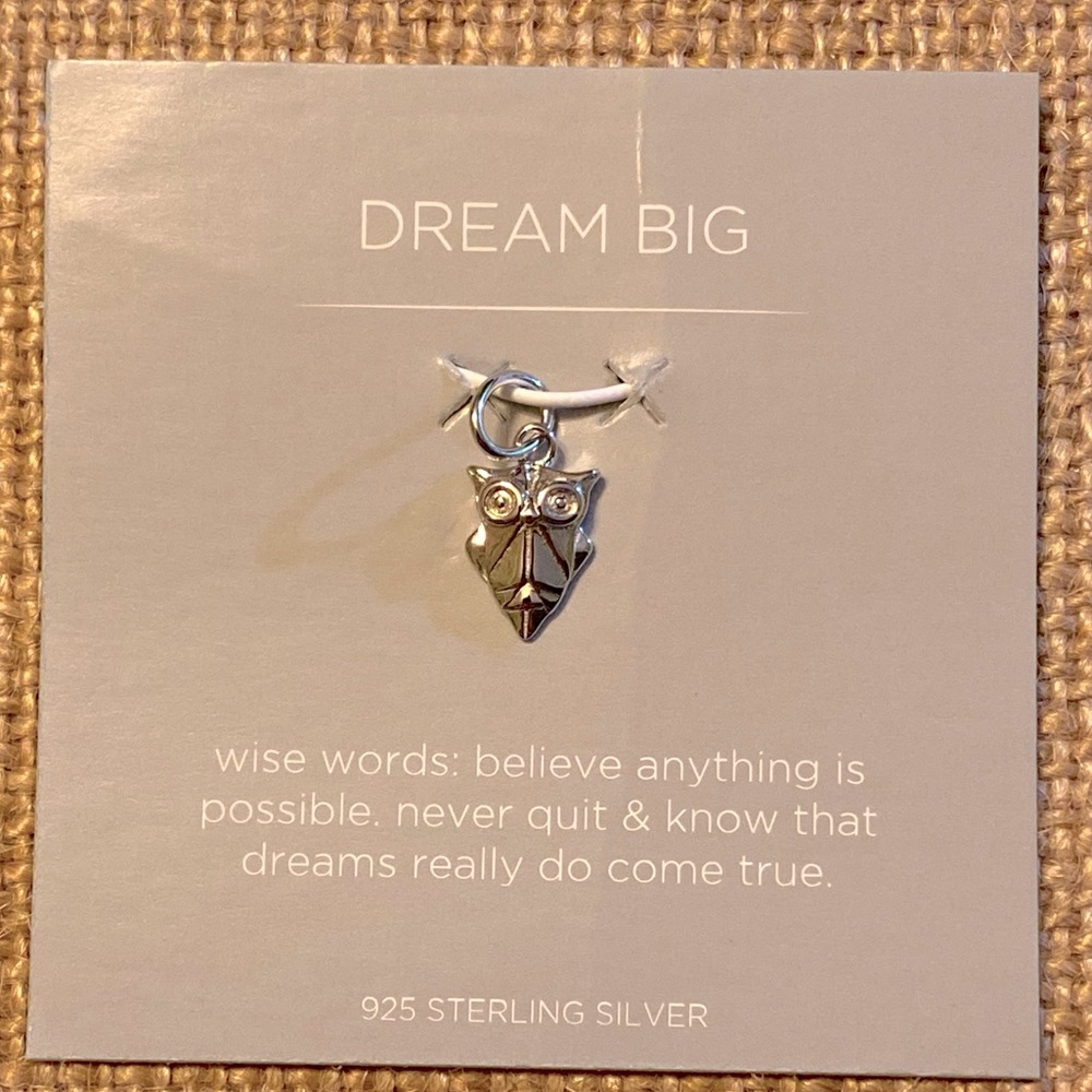 Origami Owl core charm "dream big" Owl